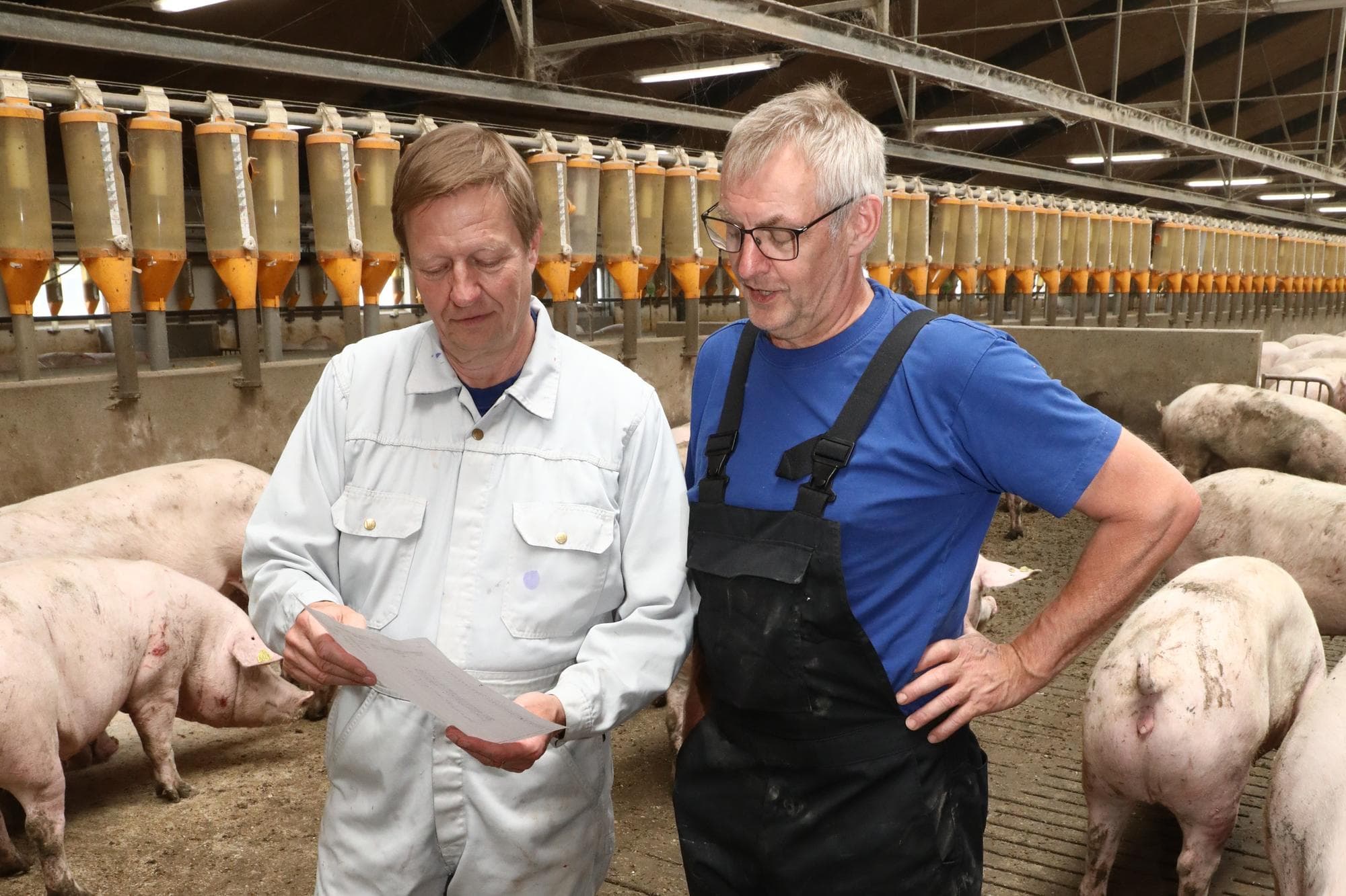 Dierenarts en nationaal coördinator van het Deense PRRS-reductieplan Björn Lorenzen neemt met Poul Nørgaard de laatste data door. Vanaf augustus is het bedrijf normaal gesproken PRRS-vrij. Foto's: Henk Riswick