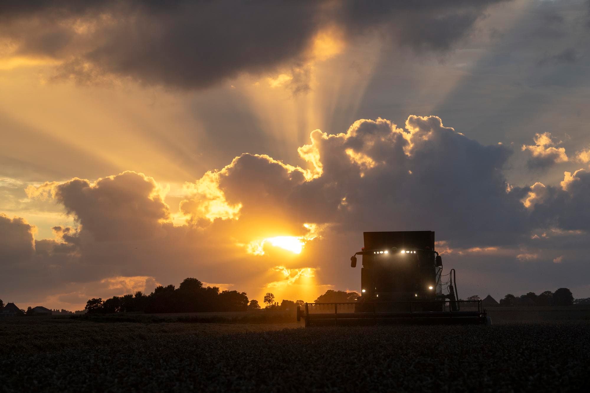Foto: Mark Pasveer