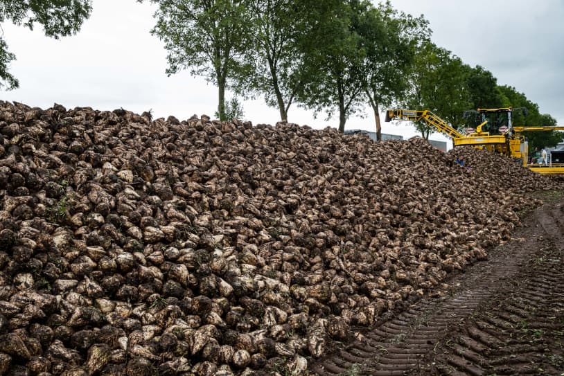 Akkerbouw in Nederland
