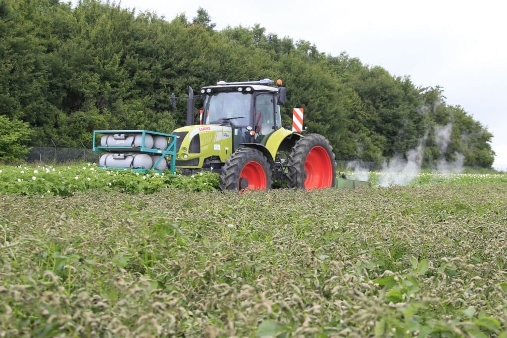 Verbranden van loof op een perceel biologische pootaardappelen. Op biologisch pootgoed mogen geen gewasbeschermingsmiddelen worden gebruikt. - Foto: Koos van der Spek