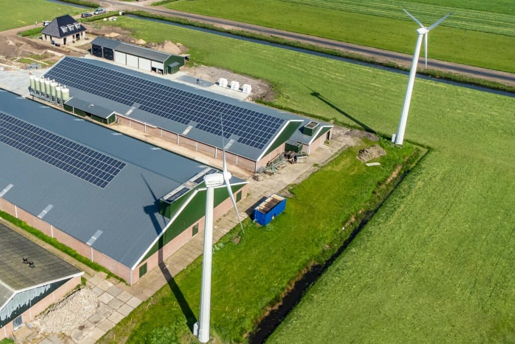 Windmolens op een varkensbedrijf in het Overijsselse Rouveen