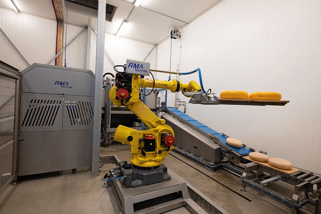 De robot aan het werk in de behandellijn. Per plankje worden zes kazen op de lopende band gelegd en aan de andere kant weer afgehaald. - Foto's: Peter Roek