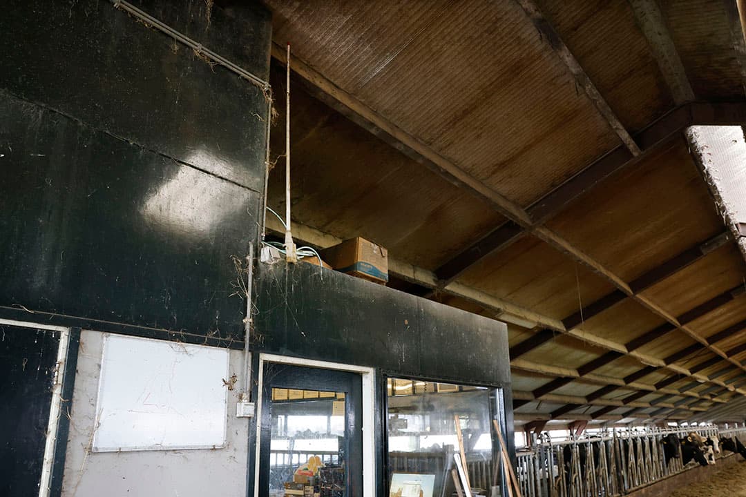 De CowScout-antenne op het kantoor heeft overal in de ligboxenstal goed bereik. Dat geldt ook voor een tweede stal op het erf waar de droge koeien en de jongste kalveren zijn gehuisvest.