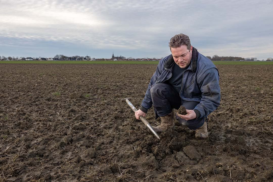 Brian Salomé inspecteert de grond waar zaaiuien op geteeld gaan worden. Hij teelt zowel zaaiuien als tweedejaars plantuien. - Foto: Peter Roek