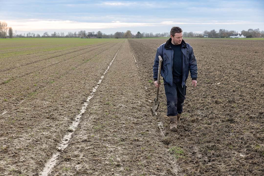 Volgens Salomé is sinds hij NKG toepast de waterhuishouding op zijn percelen verbeterd. Een ander effect van NKG dat ook al snel opviel, is de betere draagkracht van de grond.