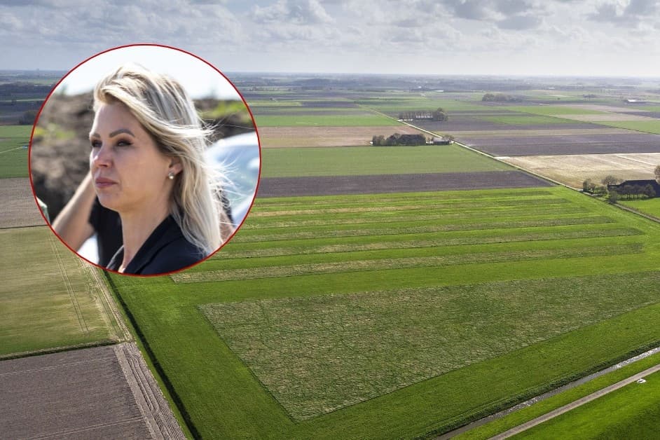 Raad van State ondergrens stikstof 1 mol