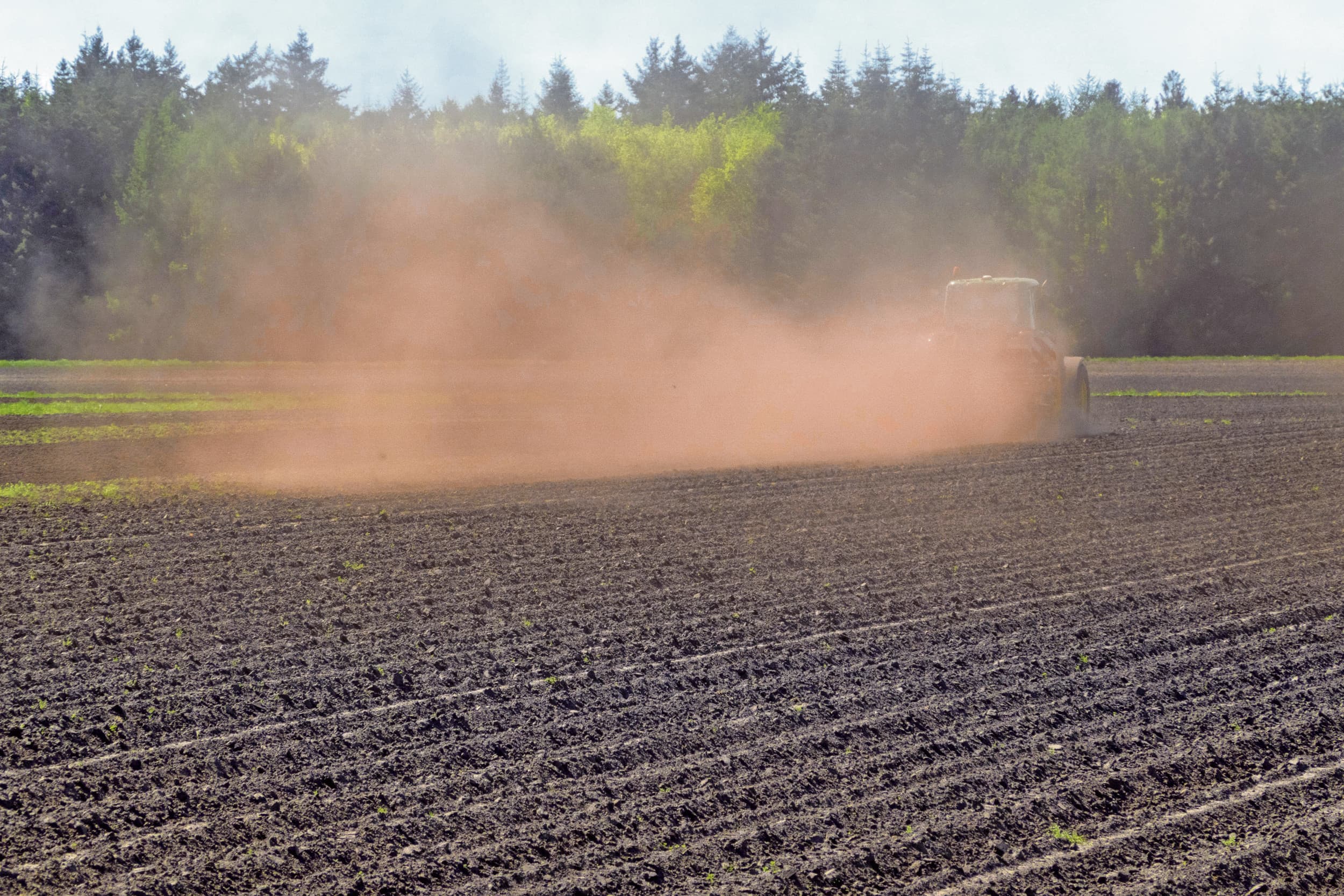 Droogte in Drenthe eind april. De komende twee weken verwacht KNMI dat het landelijk neerslagtekort verder oploopt, en mogelijk boven het niveau van recorddroogtejaar 1976 uitkomt. Foto: ANP