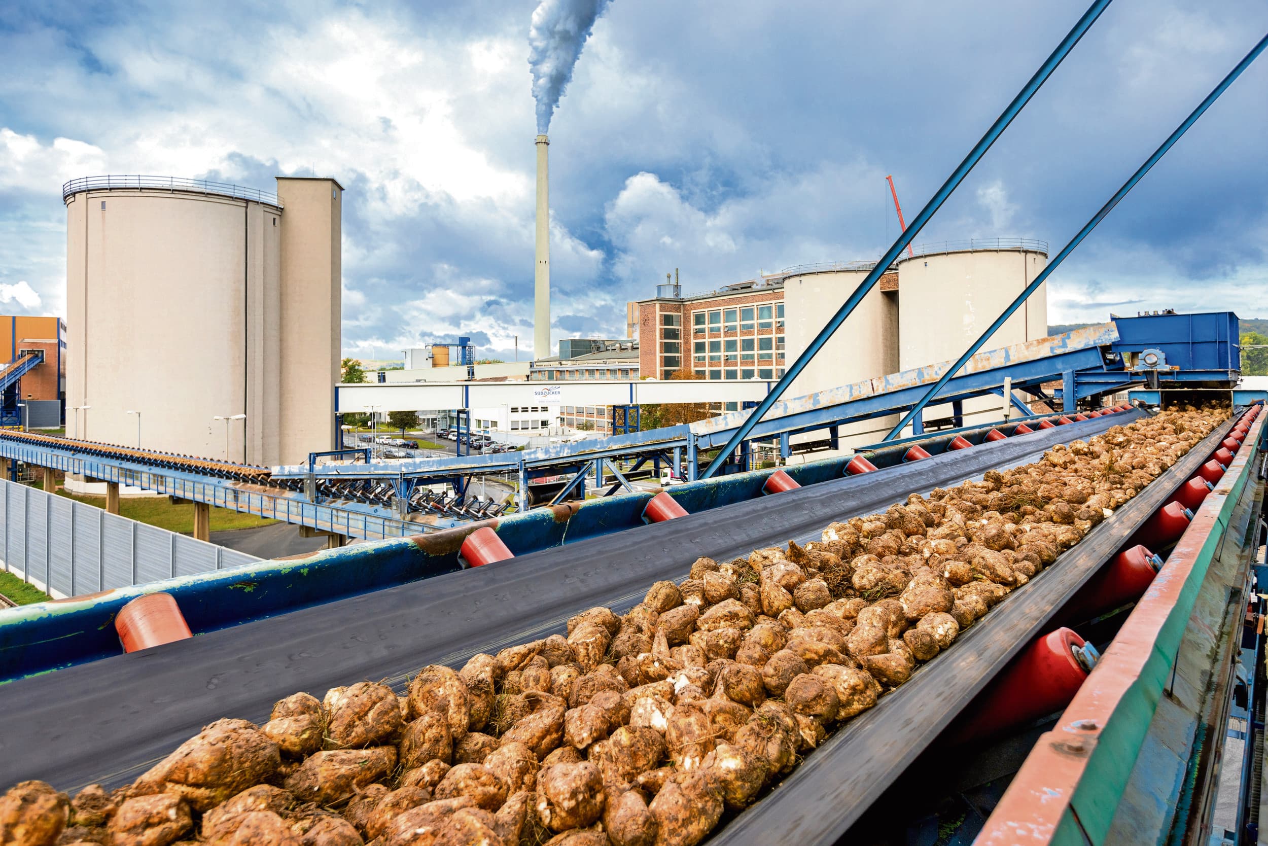 Suikerbieten bij een fabriek van Südzucker. In de suikerdivisie van het bedrijf vallen de resultaten tegen. Foto: Benedikt Knüttel/Südzucker