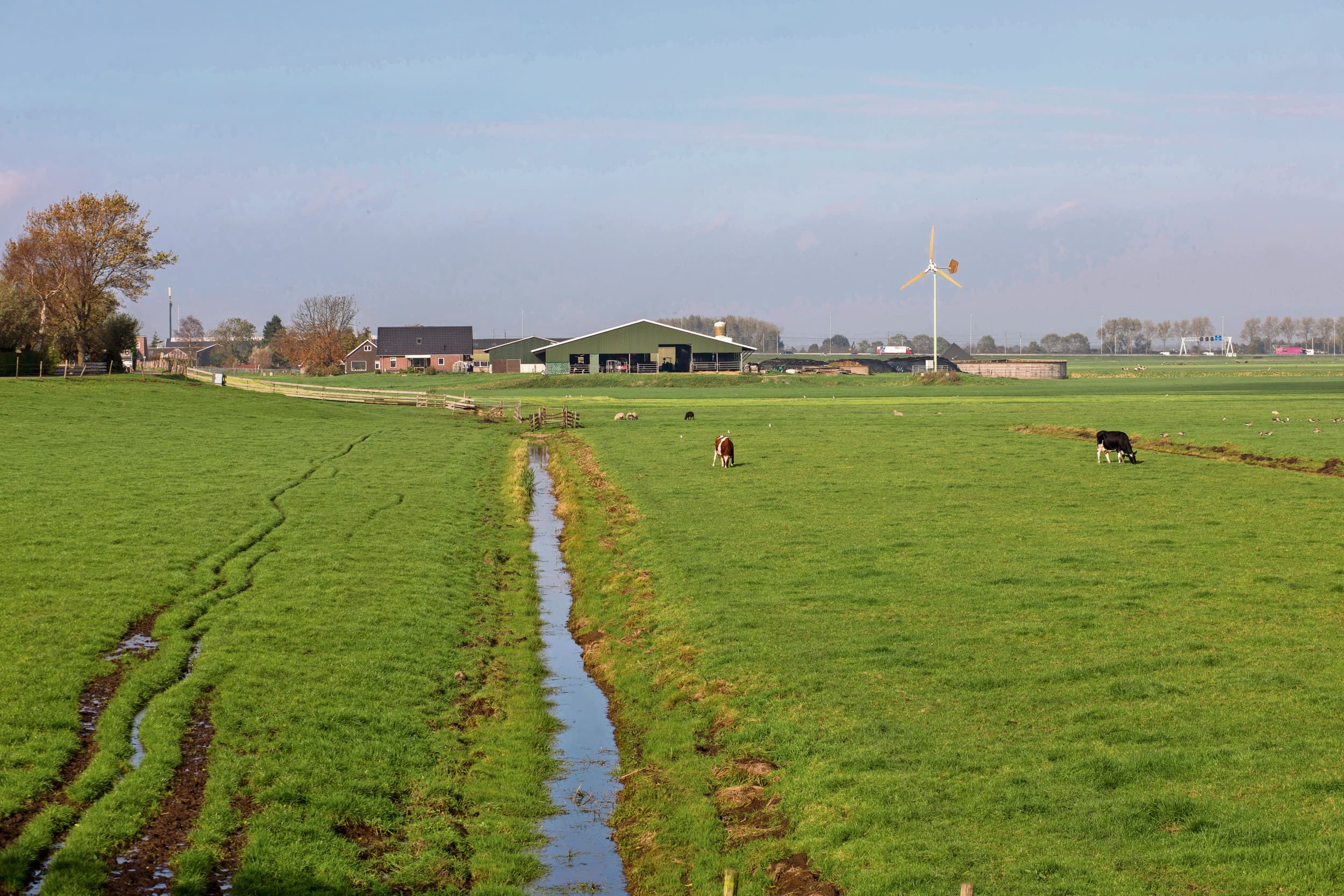 De Wetenschappelijke Klimaatraad stelt dat een breed boerenperspectief met langetermijnperspectief onderdeel moet zijn van consistent landbouwbeleid om de sector bij te laten dragen aan een klimaatneutrale en -bestendige samenleving. Foto: Marc Heeman