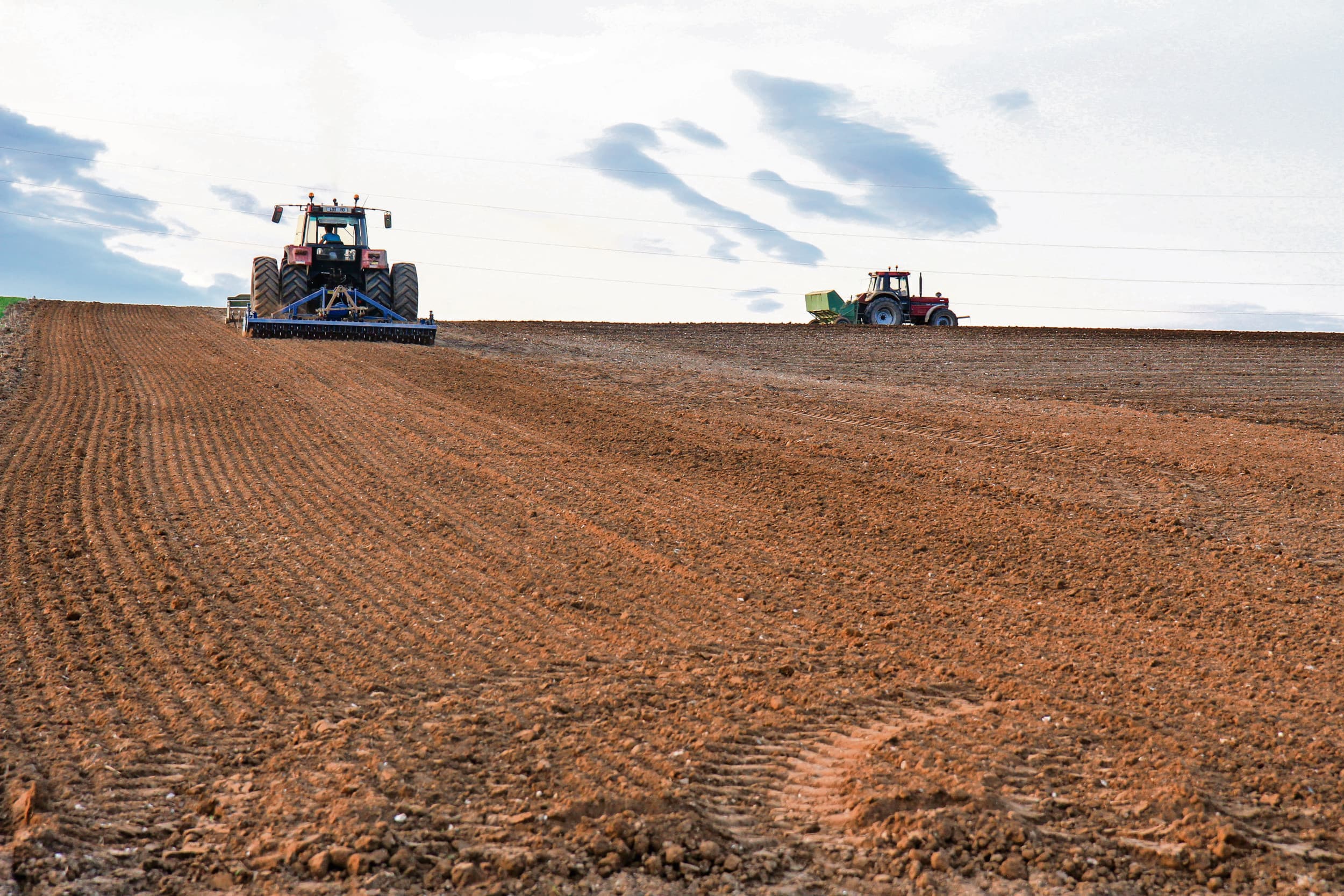 In Frankrijk worden de eerste fritesaardappelen al over enkele dagen gepoot. Vlak daarvoor krijgen sommige telers nu te horen dat ze minder aardappelen onder contract kunnen leveren dan was voorzien. Foto: Matthijs Verhagen
