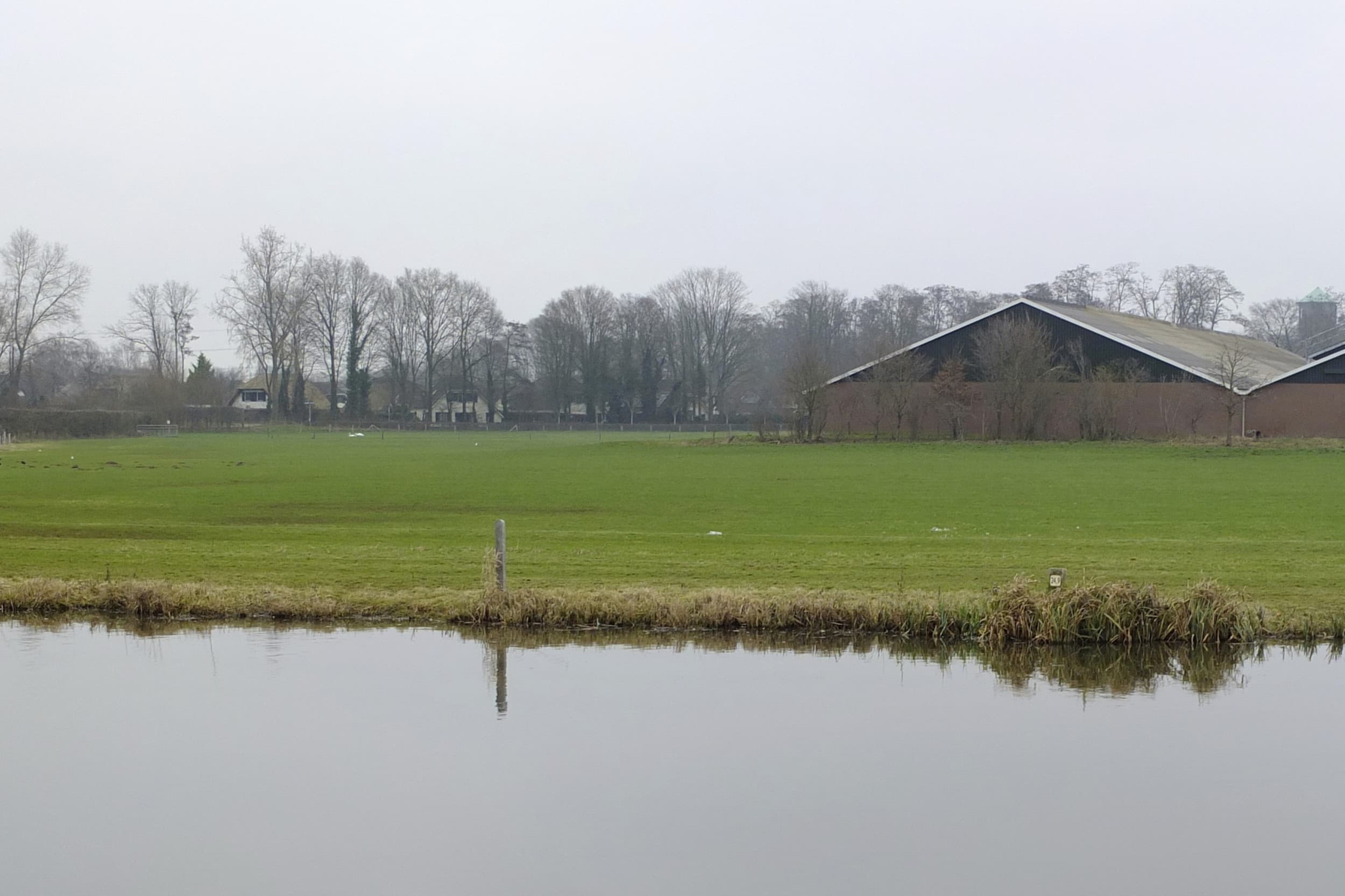 Alleen veehouderijbedrijven met een ammoniakemissie boven 250 kilo NH3 per jaar (melkvee en rundvee) of 750 kilo NH3 (overige veehouderijen) komen in aanmerking. Foto: Hans Prinsen