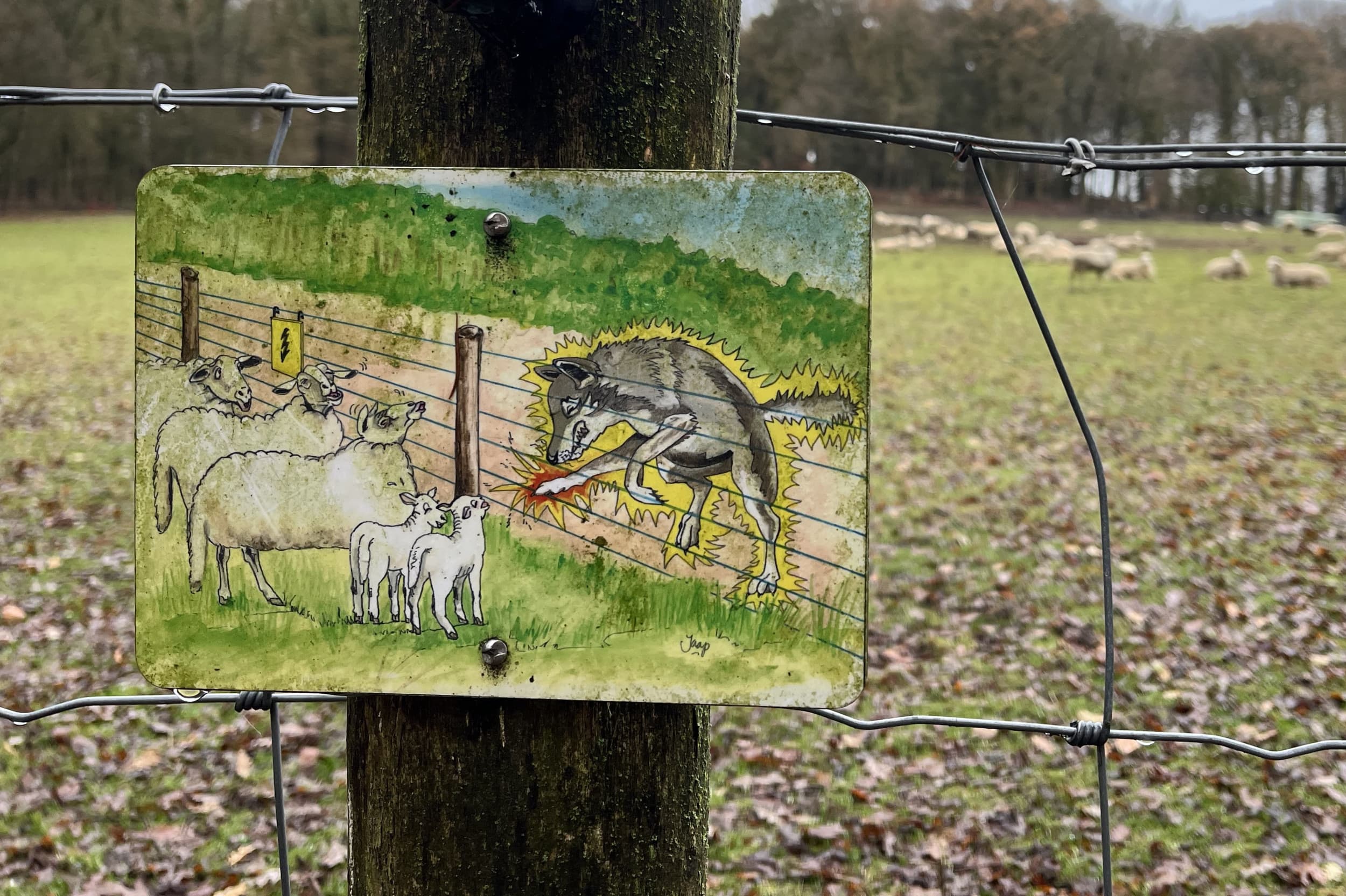 Het nieuwe plan verplicht dierhouders om preventieve maatregelen te nemen om in aanmerking te komen voor compensatie. Foto: Boerderij