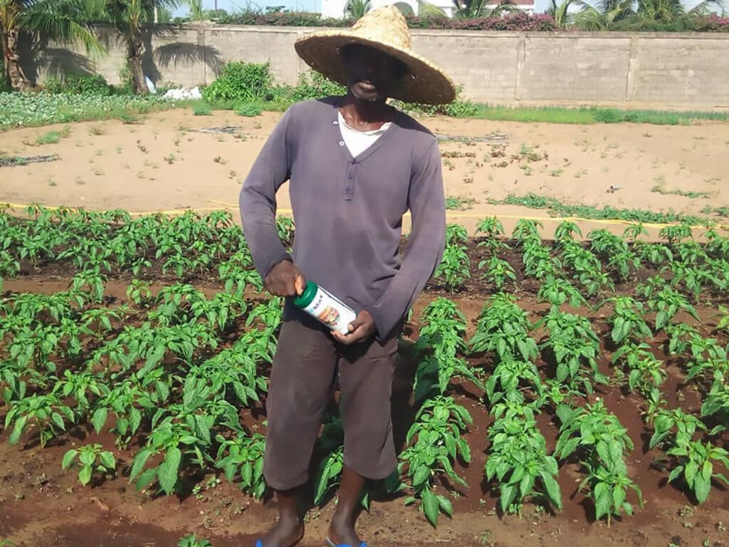 Aan de rand van de Sahara in Togo.
