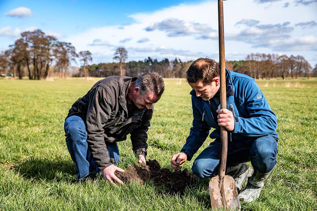 Voor het eiwitproject wordt regelmatig de zode bekeken. Onder andere het bodemleven en wortelgroei zijn indicatoren. - Foto: Ronald Hissink