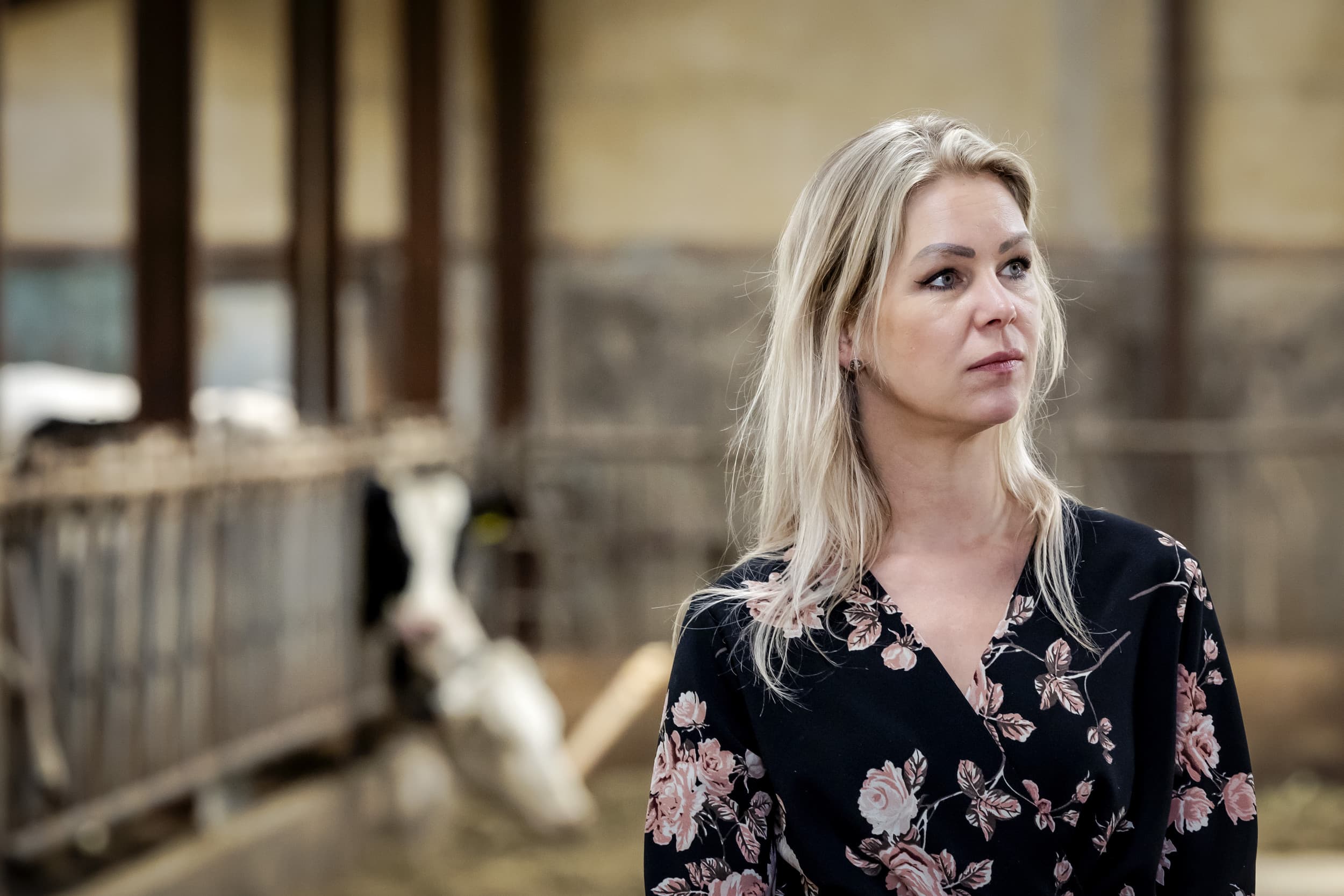 Minister Femke Wiersma (BBB, Landbouw, Visserij, Voedselzekerheid en Natuur) bezocht op 8 juli boerderij Lagerwoerd in Woerden (U.). Dit was haar eerste werkbezoek als minister van LVVN, voorafgaand aan haar deelname aan de Europese landbouw- en visserijministersvergadering in Brussel. – Foto: ANP