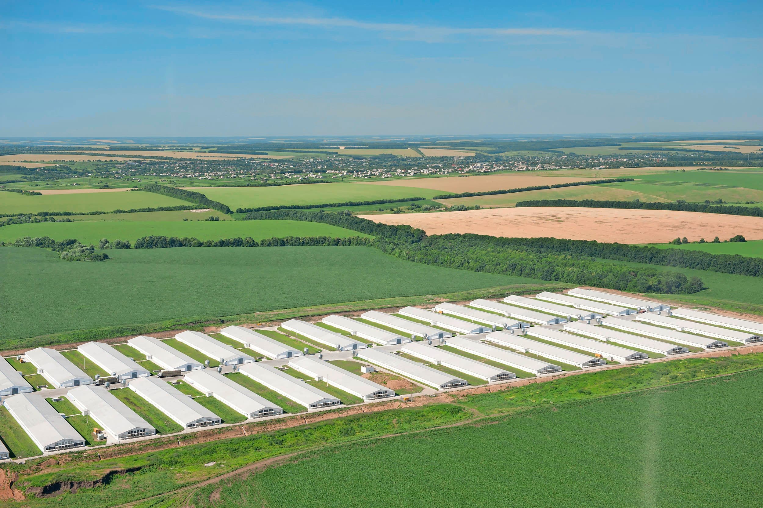 Dit is een van de locaties van MHP in de regio Vinnytsia, 250 kilometer ten zuidwesten van Kiev in Oekraïne. Deze locatie telt 38 identieke stallen voor 55.000 slachtkuikens. – Foto: Mardal