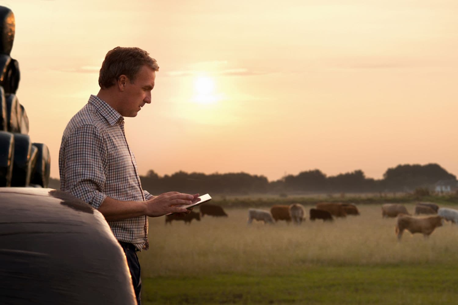 Het vertrouwen dat boeren en tuinders in de land- en tuinbouw in hun onderneming hebben, is in het eerste kwartaal van 2024 met 2,5 punt gedaald ten opzichte van het vierde kwartaal van 2023. – Foto: Canva/Images Signature