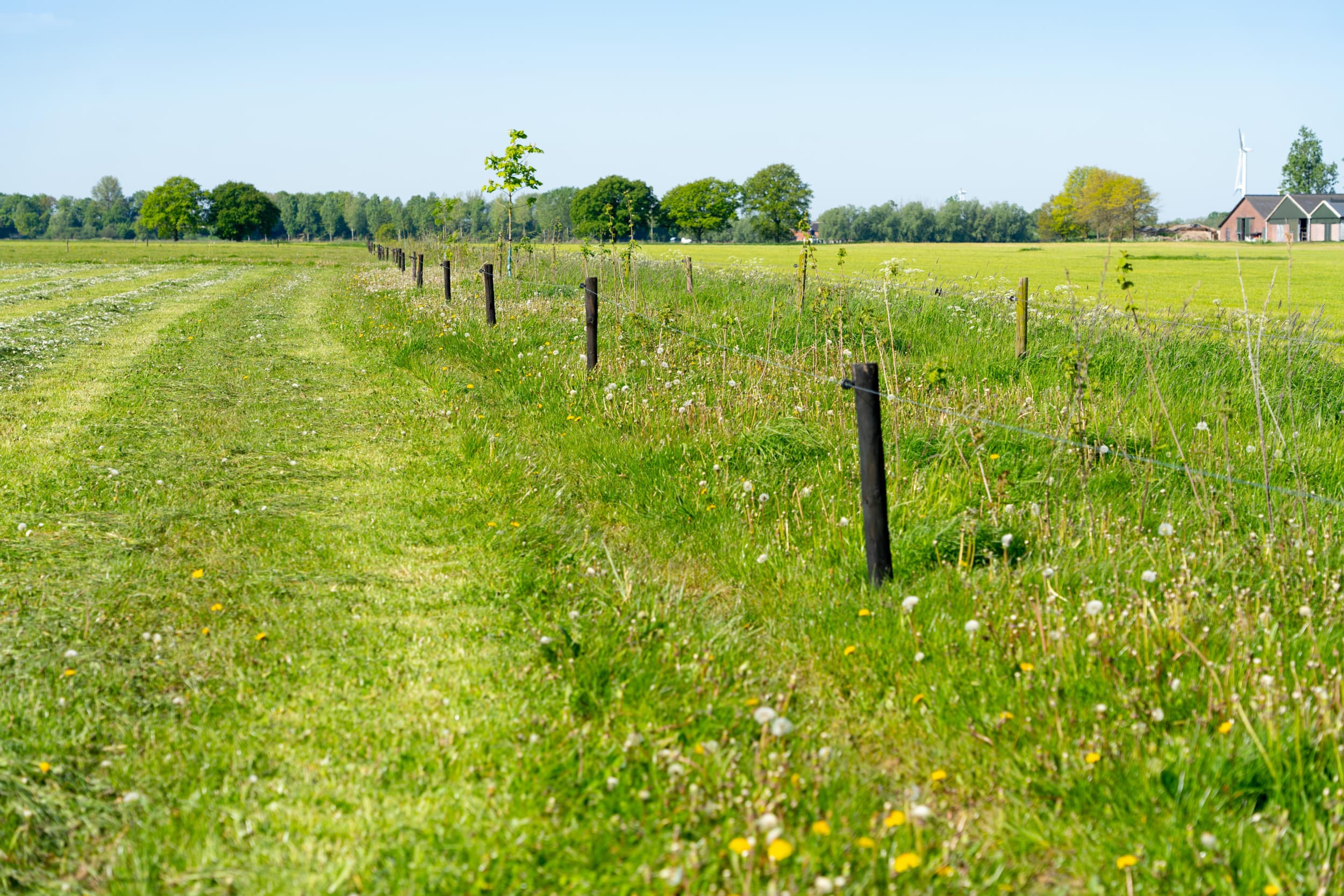 Uit onderzoek blijkt dat meer dan de helft van de ondervraagden bereid is aan boeren te betalen bij het wandelen over agrarische gronden. – Foto: Jan Willem Schouten
