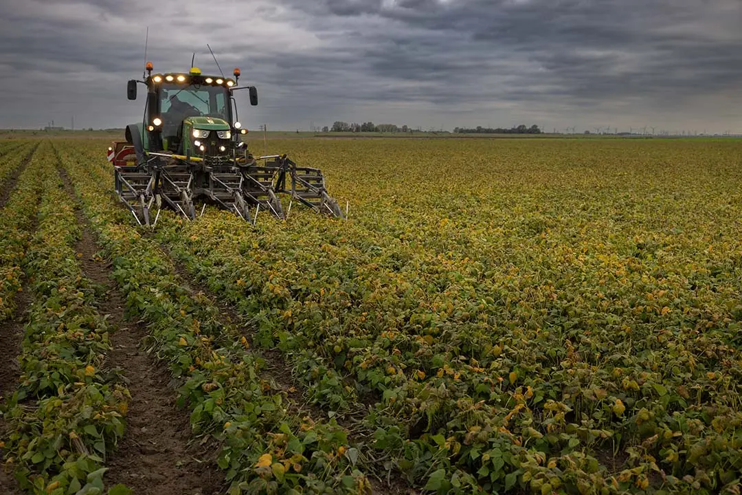 Producentenorganisatie Eiwitboeren van Nederland wil een telersprijs voor peulvruchten die is gebaseerd op basis van meerwaarde en die losstaat van de graanprijsontwikkeling. Ook wil ze dat de tussenhandel de eco-regeling niet incalculeert. – Foto: Peter Roek