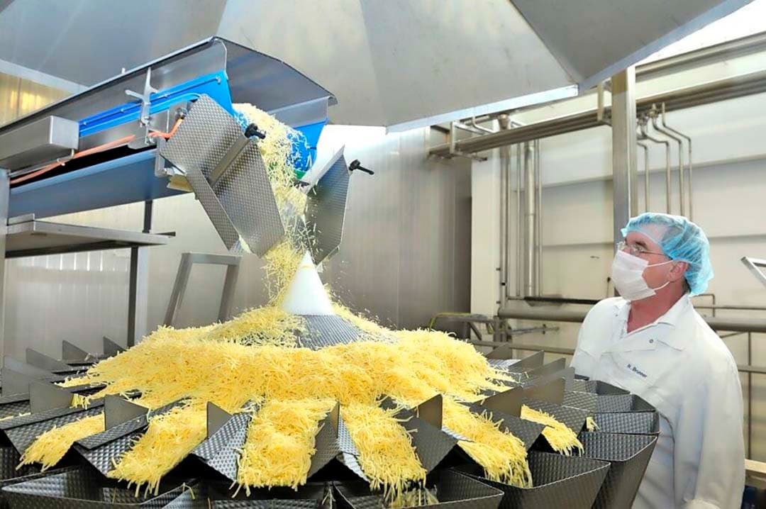 Kaasproductie in DMK-fabriek. - Foto: DMK