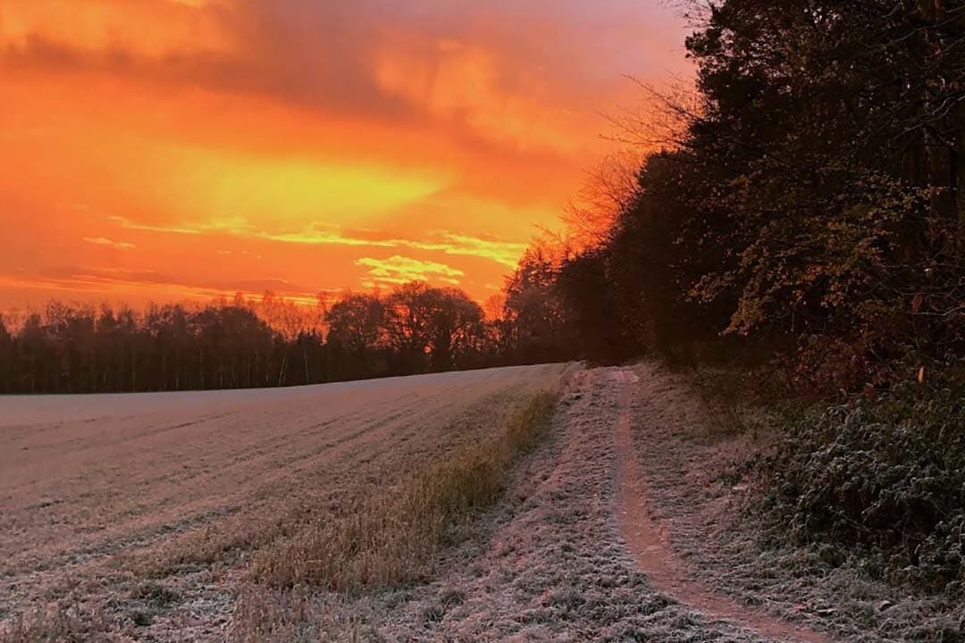 Europese natuurherstelwet