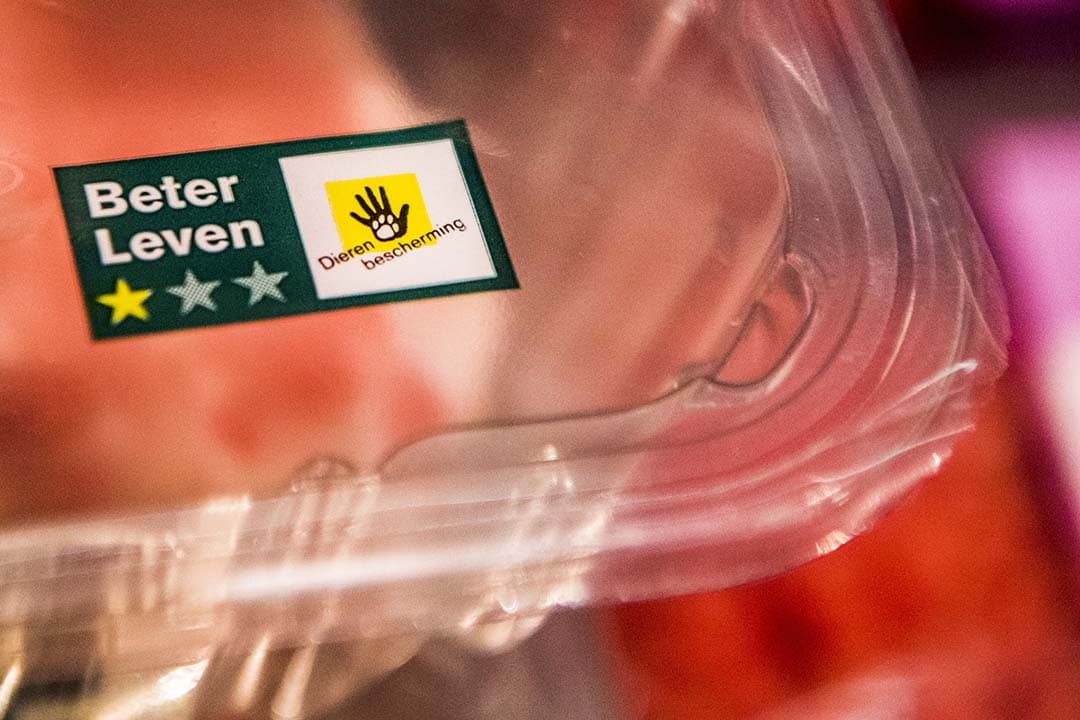 Zes dierenwelzijnsorganisaties uiten felle kritiek op het Beter Leven-keurmerk (BLk) van de Dierenbescherming. Ze vinden dat het Beter Leven-keurmerk misleidend is, omdat deze welzijnsstandaarden volgens hen slechts een kleine vooruitgang zijn ten opzichte van de gangbaar gehouden dieren. - Foto: ANP
