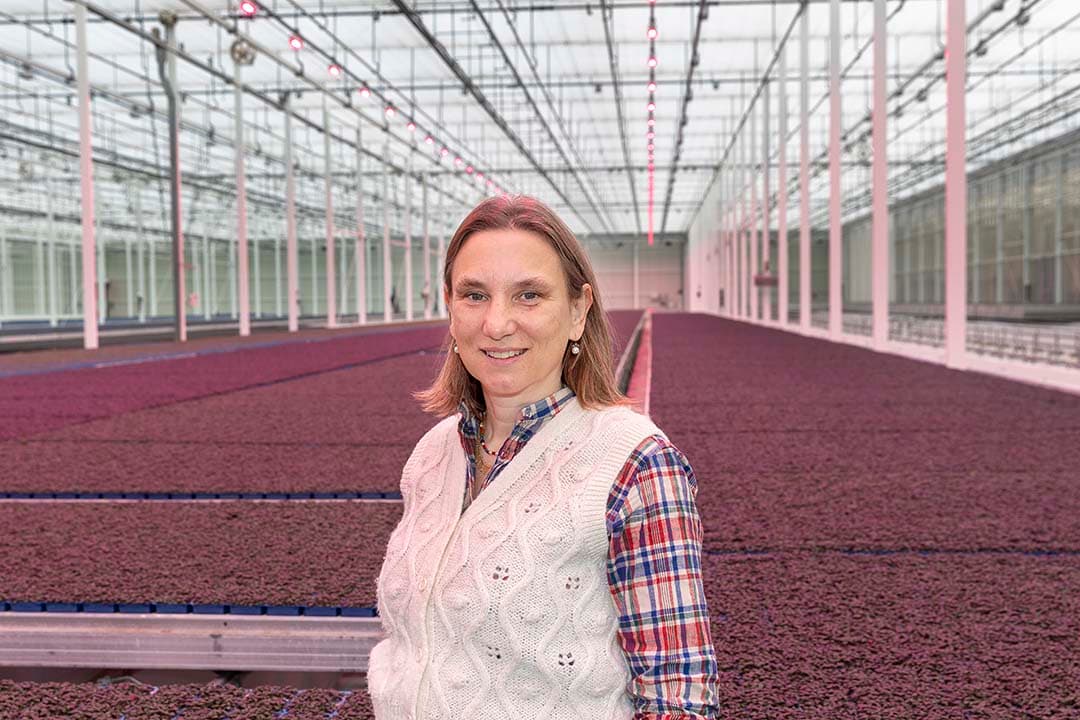 duurzame landbouwpolitiek