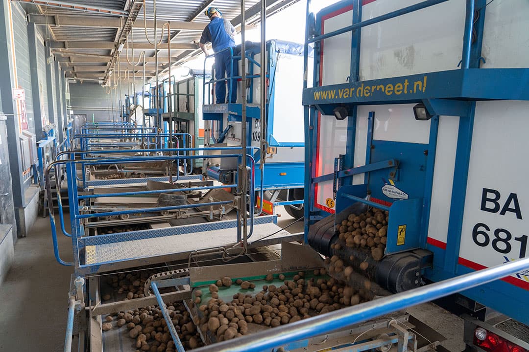 Aardappelverwerking bij Aviko in Steenderen. - Foto: Jan Willem Schouten