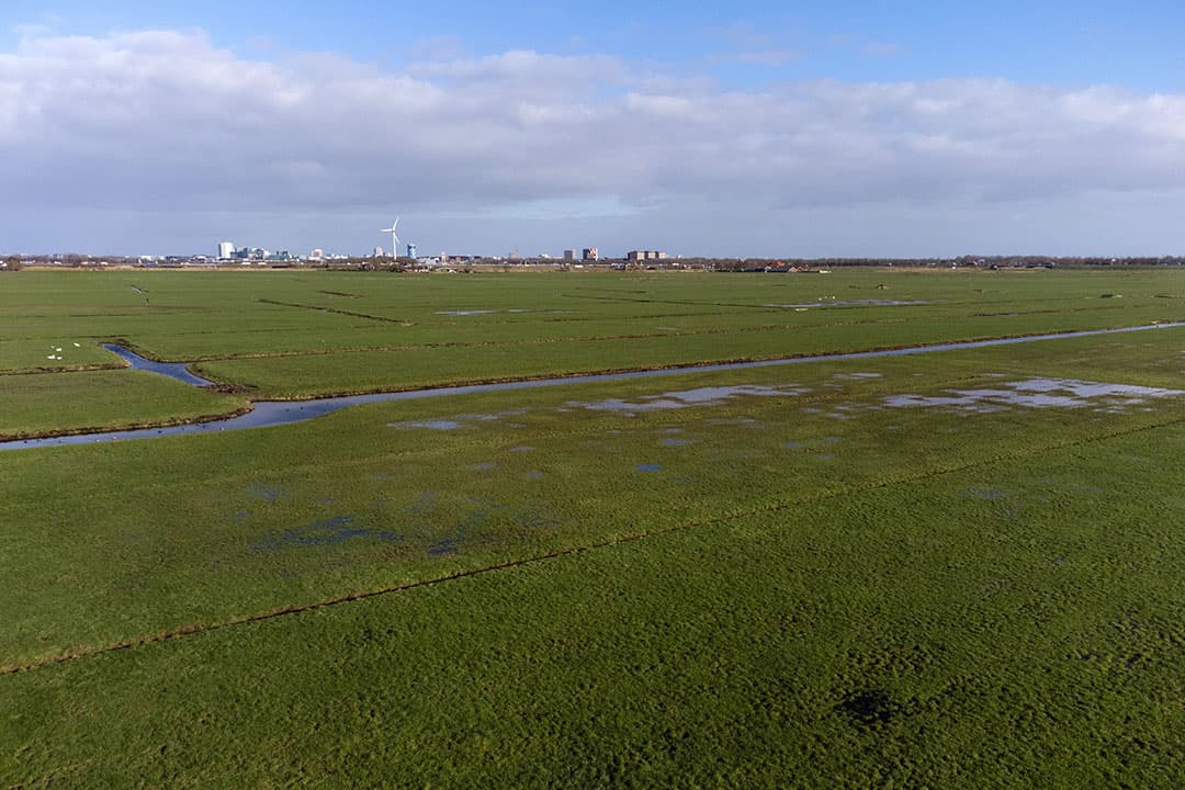 Ruimte voor woningbouw en natuur