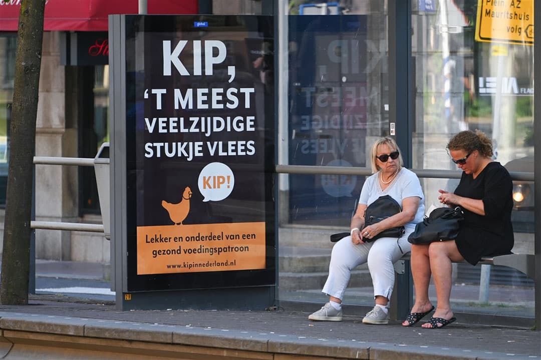 Promotie van land- en tuinbouwproducten is een verantwoordelijkheid van de ondernemers en hun organisaties zelf, vindt Adema. – Foto: ANP