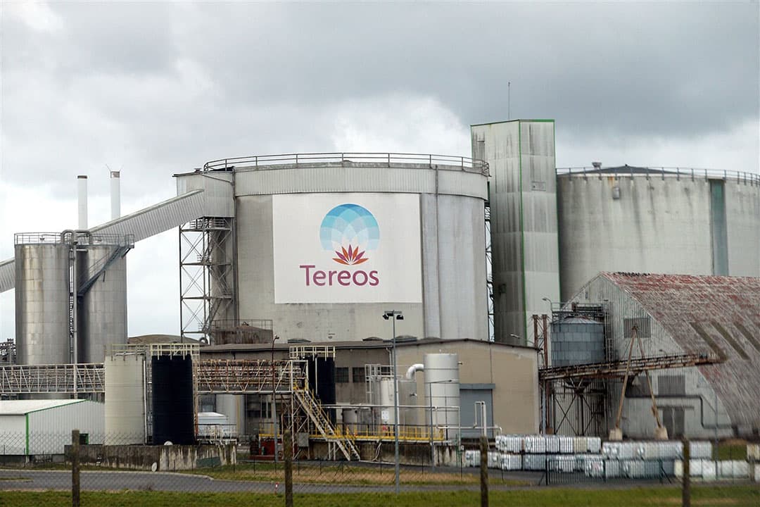 Franse suikerproducent Tereos zal vanaf seizoen 2024-2025 geen biologische bieten meer verwerken, als reactie op dalende vraag naar biologische suiker. - Foto: ANP