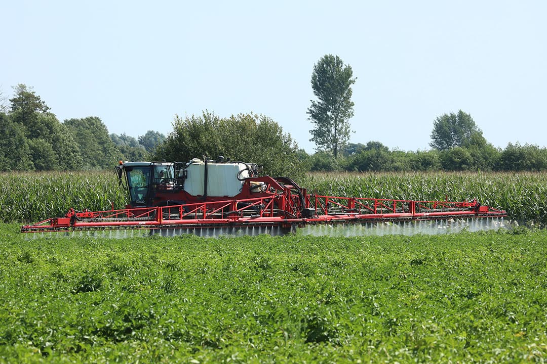 Bespuiting van fritesaardappelen, met een bladmeststof kan heel efficiënt een beetje stikstof gegeven worden. Onder droge omstandigheden zal de benutting beter zijn dan van een korrelmeststof. - Foto: Henk Riswick