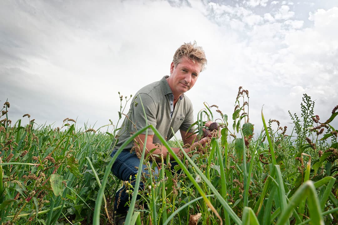 Marco van Soesbergen combineert gangbare met biologische uienteelt en pootgoed: “Wij leren van onze biologische teelten.” - Foto's: Lex Salverda