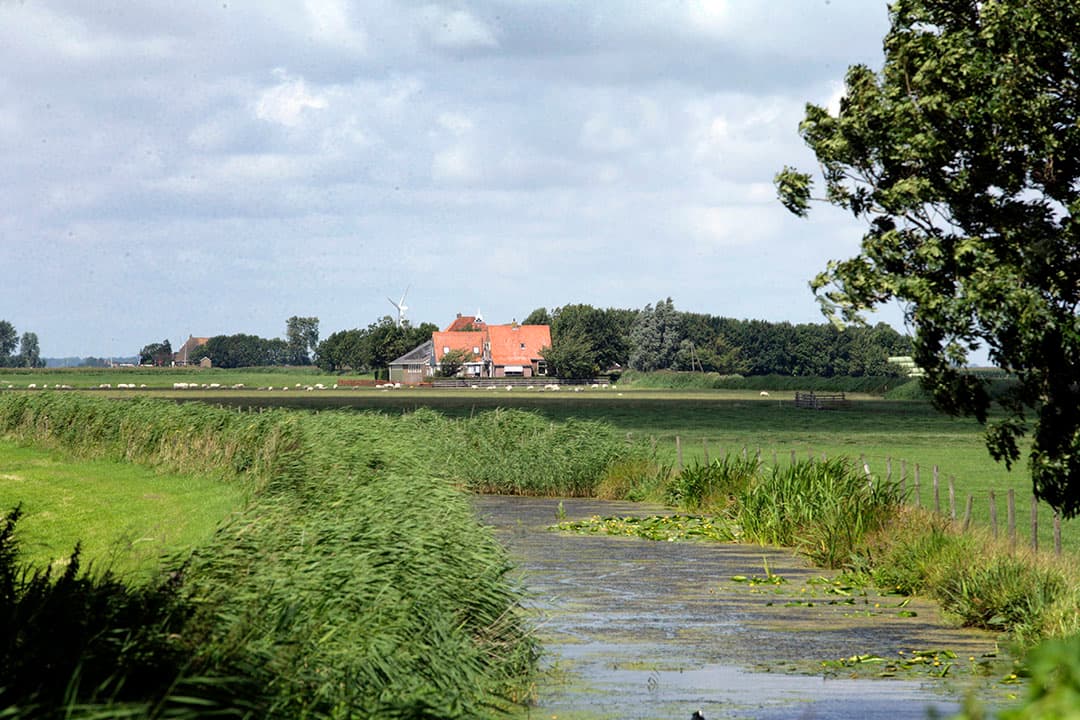 Foto: Henk Riswick