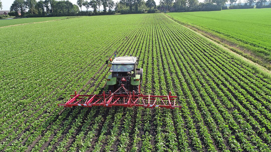 De CMN Flex-wiedeg schoffelt haar eerste meters onkruid op een akker in Exloërveen. Met zijn rechte, dikkere tanden is hij qua constructie anders dan veel andere wiedeggen.