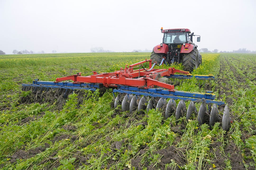 Het onderwerken van gele mosterd met een schijveneg. Telen en onderwerken van een groenbemester legt veel CO2 vast in de bodem en levert extra inkomsten op via het GLB. Bij de juiste keuze van een groenbemester onderdrukt het ook ziekten en plagen. - Foto: Penn Communicatie