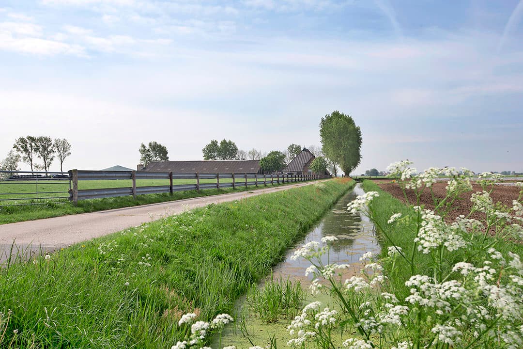 Voor agrarische grond langs rivieren en beken gaan beperkingen gelden als natuurherstelwet een feit is. - Foto: Anne van der Woude