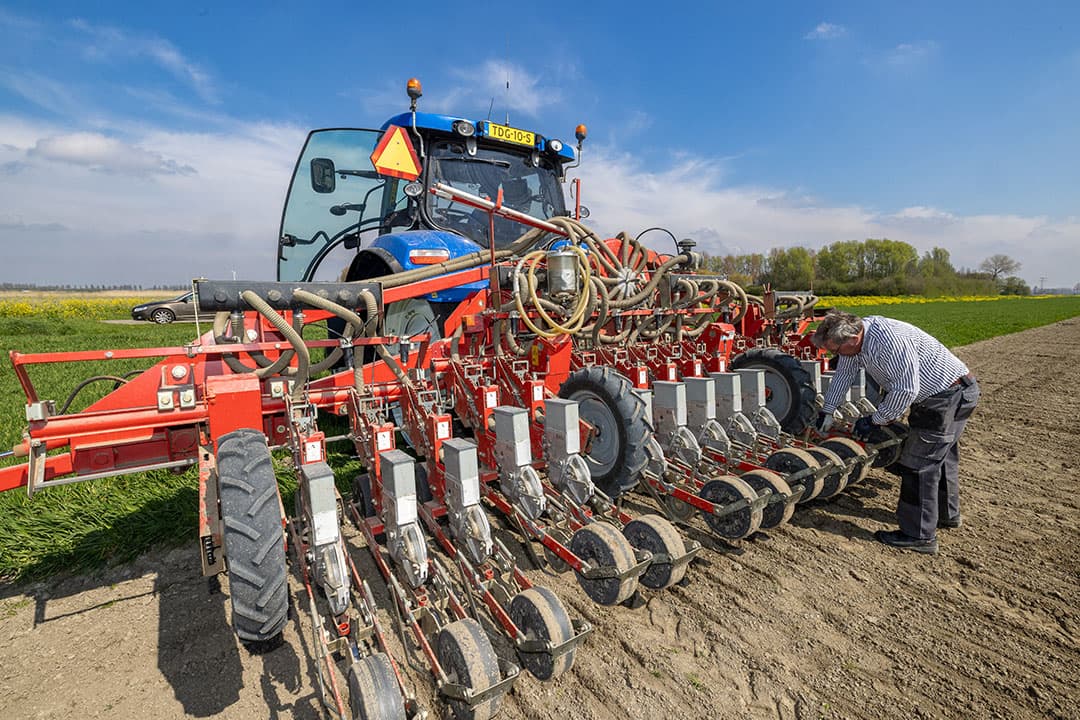 Laurens van Nederpelt laat zien hoe de vroege tafelaardappelen erbij staan. Gepoot op 3 maart en ondergedekt met Hyjet vervroegingsdoek, staan de eerste planten boven, twee weken later dan vorig jaar. Vanaf half juni wordt geoogst. “Zullen dan wel minder kilo’s zijn dan normaal.” Van Nederpelt zegt dat deze vroege teelt qua saldo goed afsteekt tegen een normale fritesaardappelteelt. Dit is ook nodig vanwege de extra risico’s. - Foto: Peter Roek