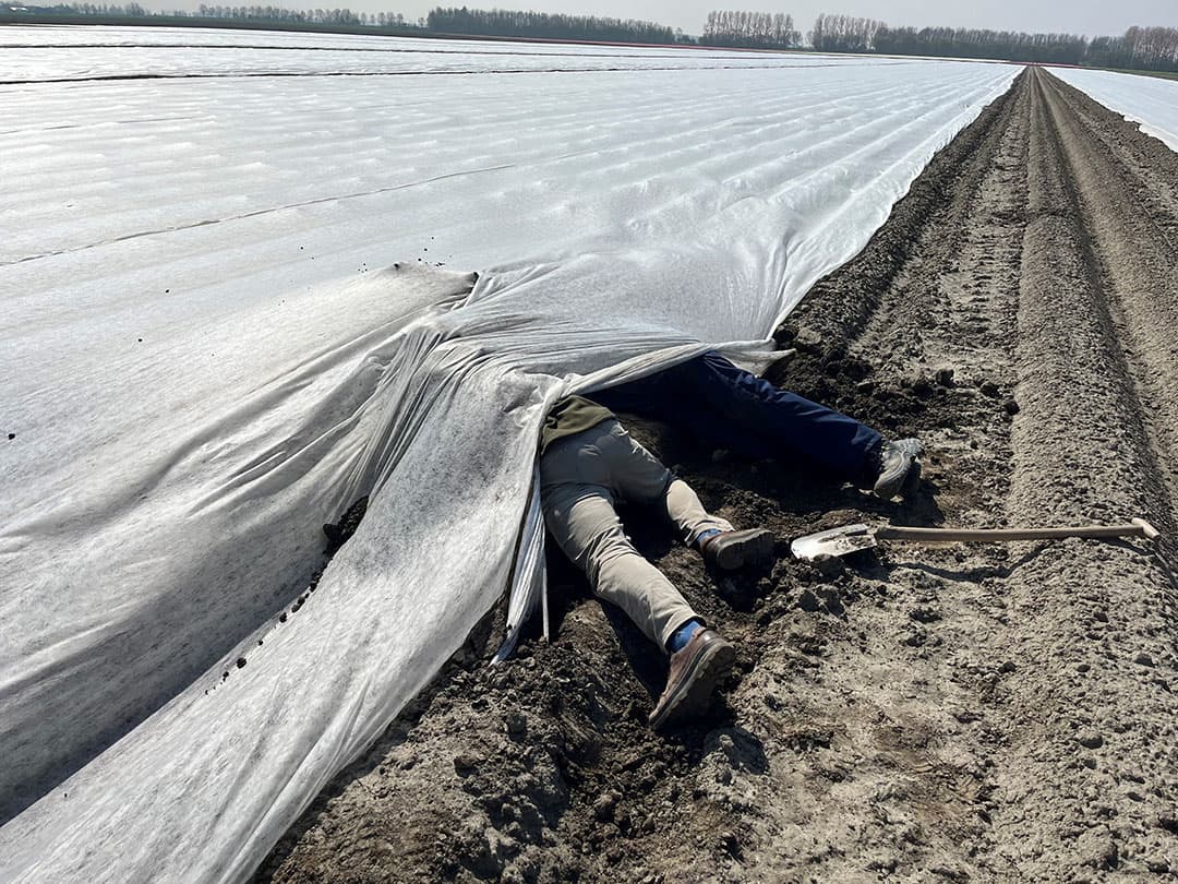 Schade door nattigheid aan de allervroegst in maart gepoote aardappelen valt mee. "De erosiestop achter de pootmachine heeft voorkomen dat bij buien het water naar de laagste plekken gaat stromen." - Foto: Peter Roek