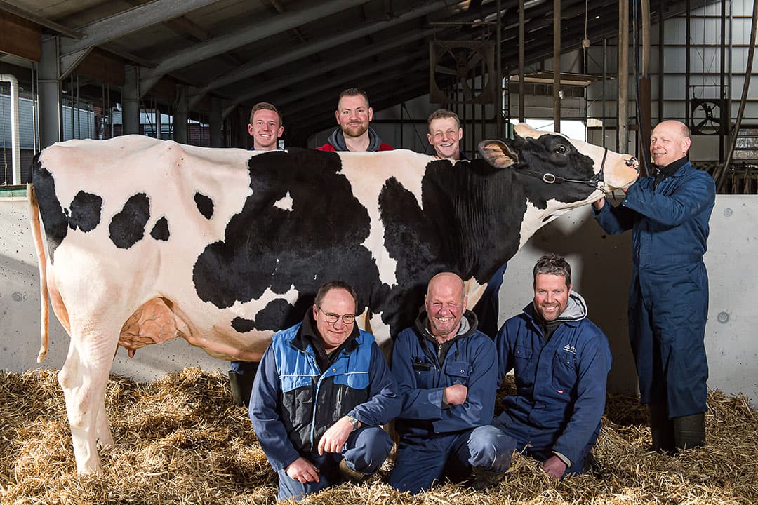 Het team van Koepon. Boven: Mitchel Kemkers, Marcel Rijkers, Wouter Schouten, Alex Borst.