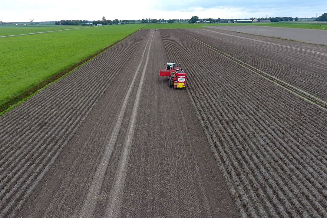 Het zal een grote kunst zijn om gewassen die niet onder de winterteelt vallen, zoals consumptieaardappelen, tijdig uit de grond te krijgen voor 1 oktober, aldus columnist Janny Peltjes - Foto: Henk Riswick