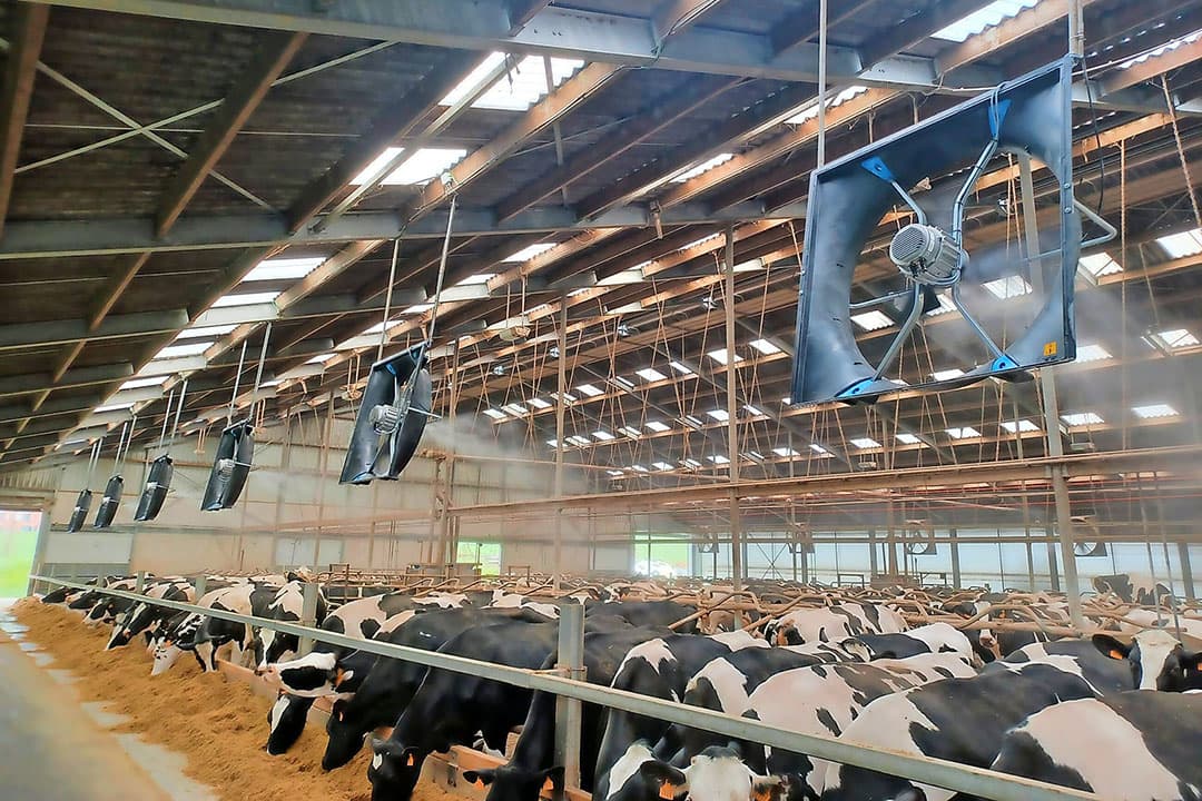 In 2015 introduceerde Abbi Aerotech het dwarsventilatiesysteem in Nederland. Dit systeem kunnen veehouders ook combineren met soaking voor extra koeling tijdens extreem warme dagen. - Foto: Abbi Aerotech