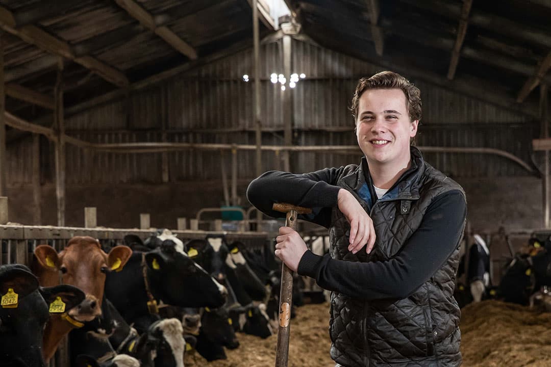 Bedrijfsopvolger Kees Luttikhuis: "Onze stal is gedateerd en net iets te krap voor de grote Holsteins." - Foto's: Ronald Hissink