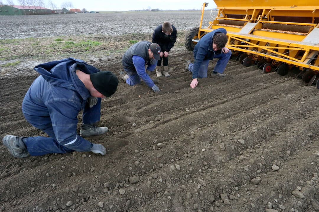 Halverwege de eerste rondgang wordt de ligging van de uitjes gecontroleerd.