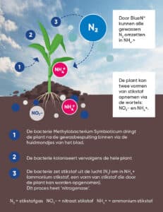 Bron: Corteva Agriscience