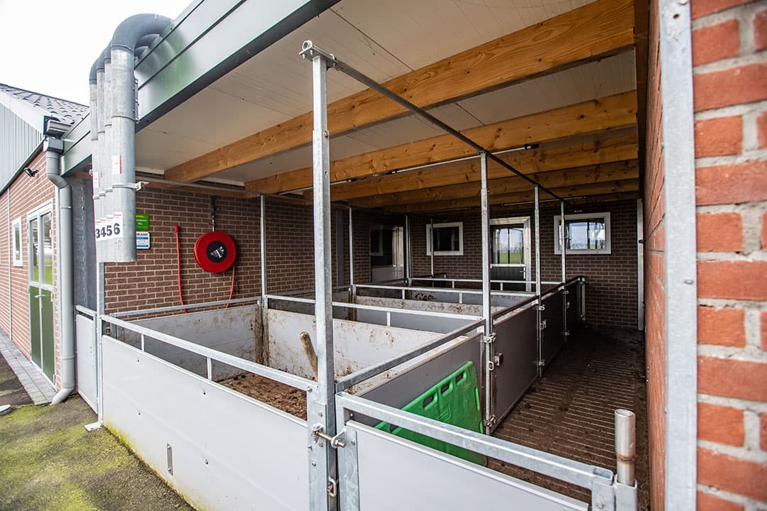 De afleverruimte voor de opfokzeugen is overdekt maar buiten de stal, zodat de chauffeur bij het laden niet de stal in hoeft. Hygiëne staat hoog in het vaandel van het fokbedrijf.