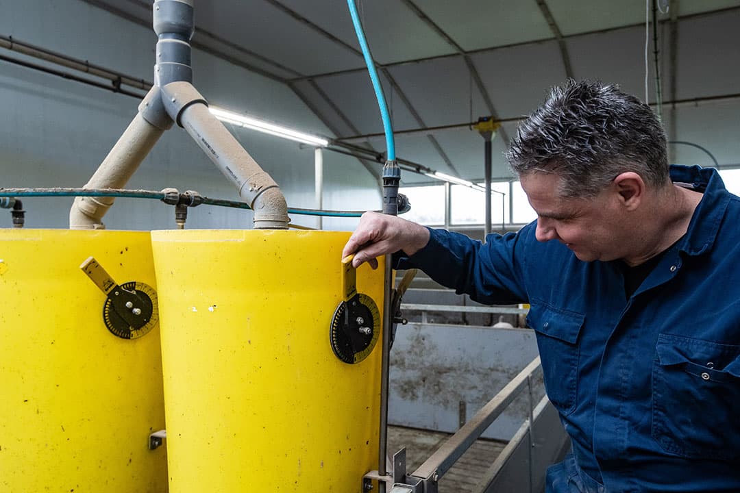 In de opfokafdelingen is zoveel mogelijk geautomatiseerd om de dieren zoveel mogelijk tijd en aandacht te kunnen geven. Per hok zijn twee voerbakken met vier voerplaatsen waar de dieren beperkt voer krijgen.