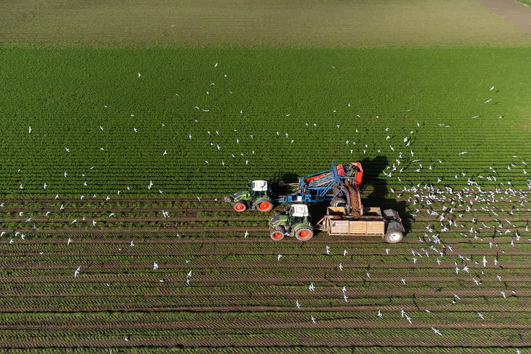 Om de biologische landbouw te versterken is voor 2023 en 2024 € 26 miljoen beschikbaar uit het transitiefonds - Foto: Ton Kastermans Fotografie
