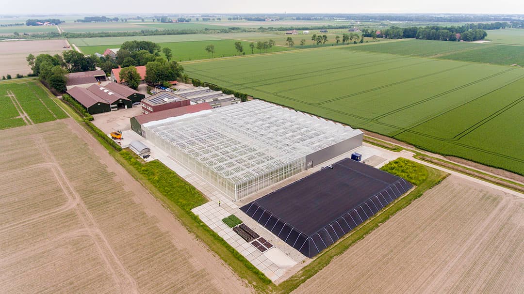 Agrico Research, gevestigd in Bant, breidt uit in grond. -Foto: Agrico Research