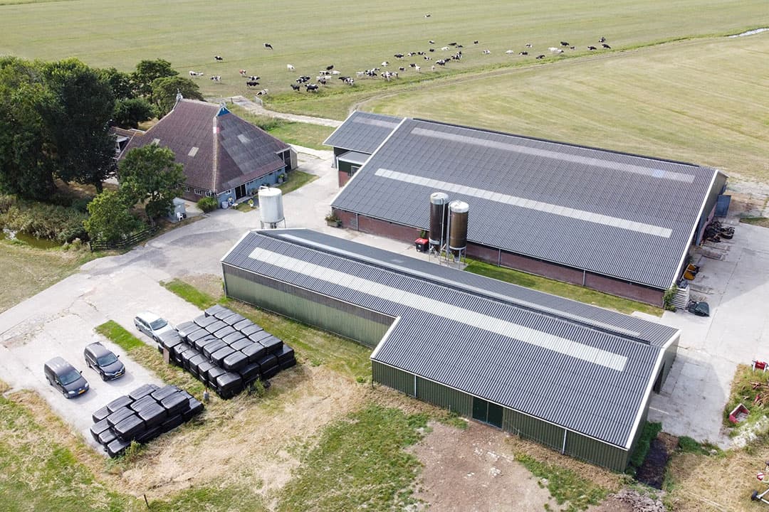 Dit melkveebedrijf staat te koop in Hijlaard (Fr.). - Foto: Agri Vastgoed